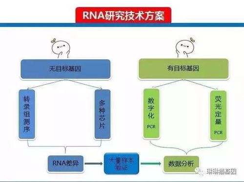 解密基因科研的底层逻辑与数字化赋能之路